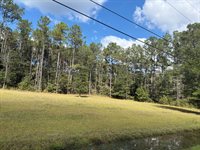 25675 Lark Street, Ponchatoula, LA 70454