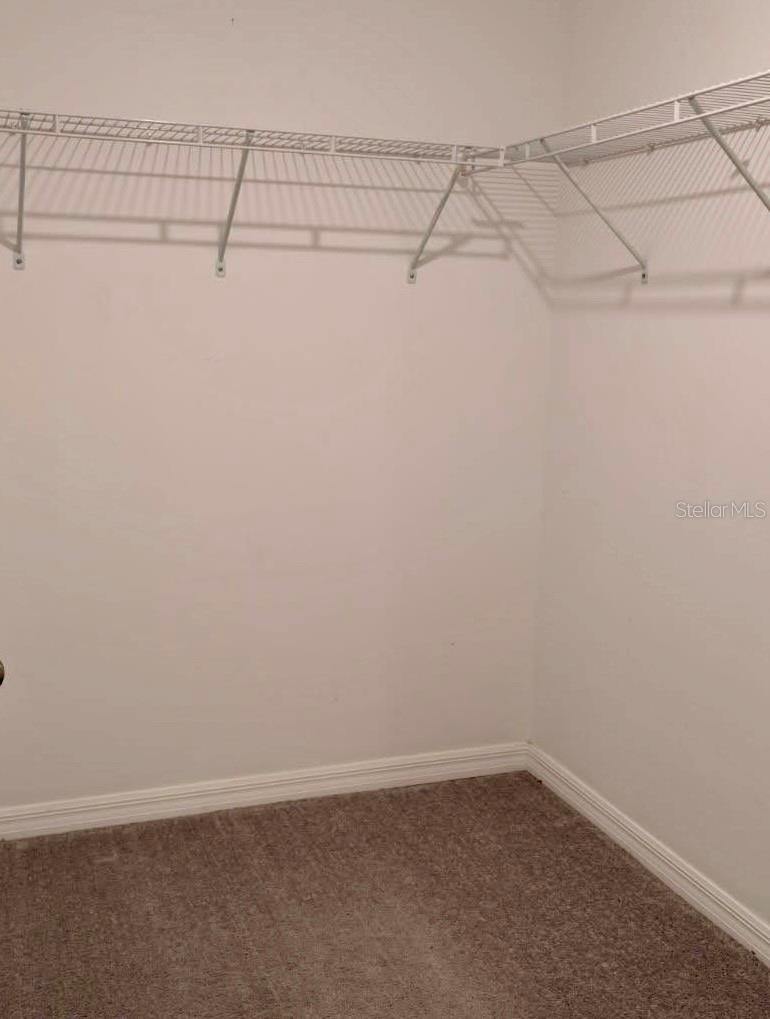 21843 Adriatic Lane, Land O Lakes, FL 34637