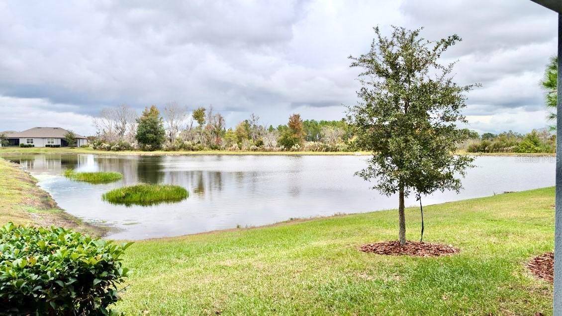 21843 Adriatic Lane, Land O Lakes, FL 34637