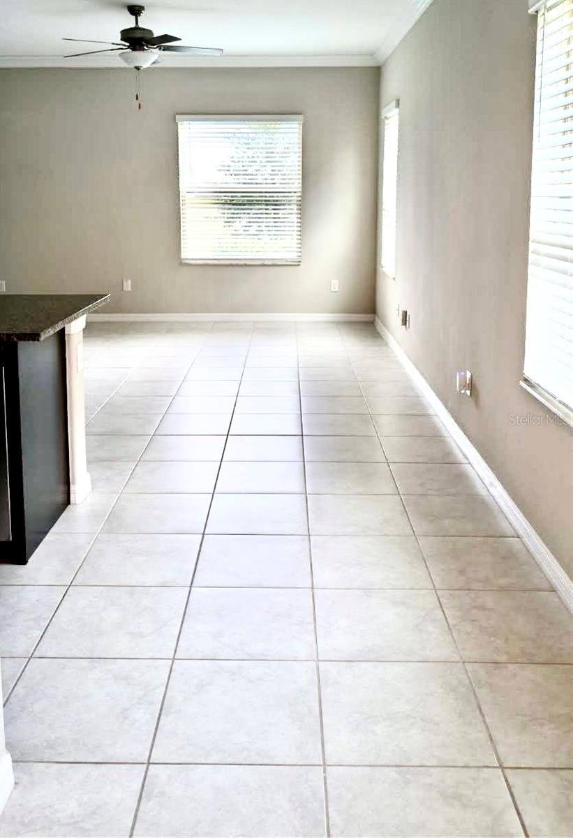 21843 Adriatic Lane, Land O Lakes, FL 34637