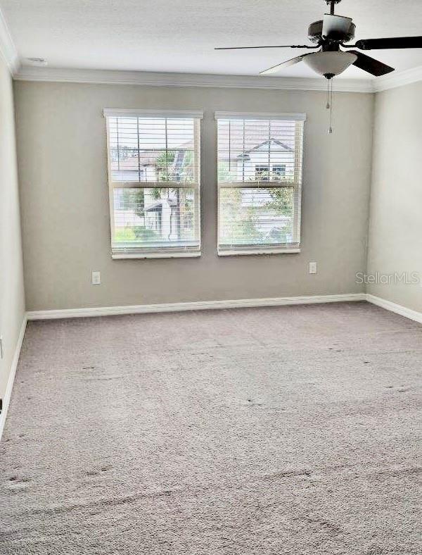 21843 Adriatic Lane, Land O Lakes, FL 34637