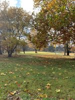 67930 Wintergreen Road, Lore City, OH 43755