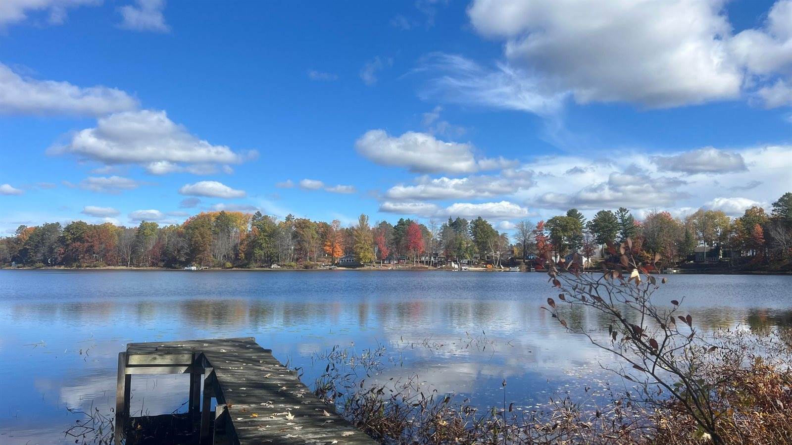 14306 Wildwood Road, Evart, MI 49631