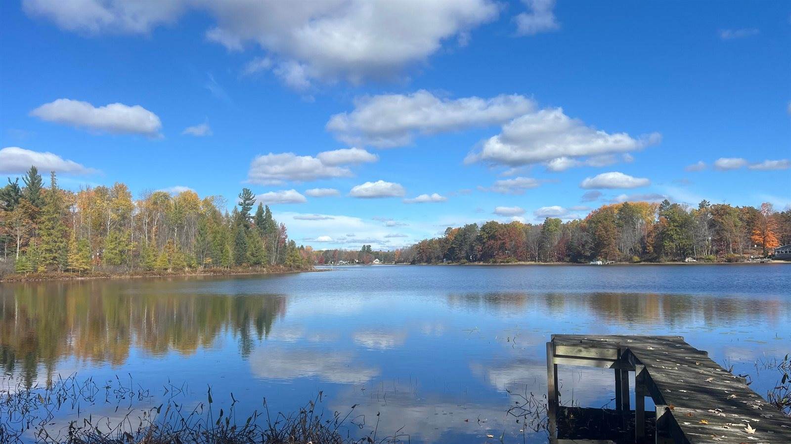 14306 Wildwood Road, Evart, MI 49631