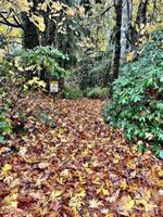 3018 Riverlea Drive SE, Olympia, WA 98501