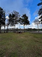 Blind River Camp 85, Saint James, LA 70086