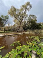 Blind River Camp 85, Saint James, LA 70086