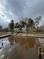 Blind River Camp 85, Saint James, LA 70086