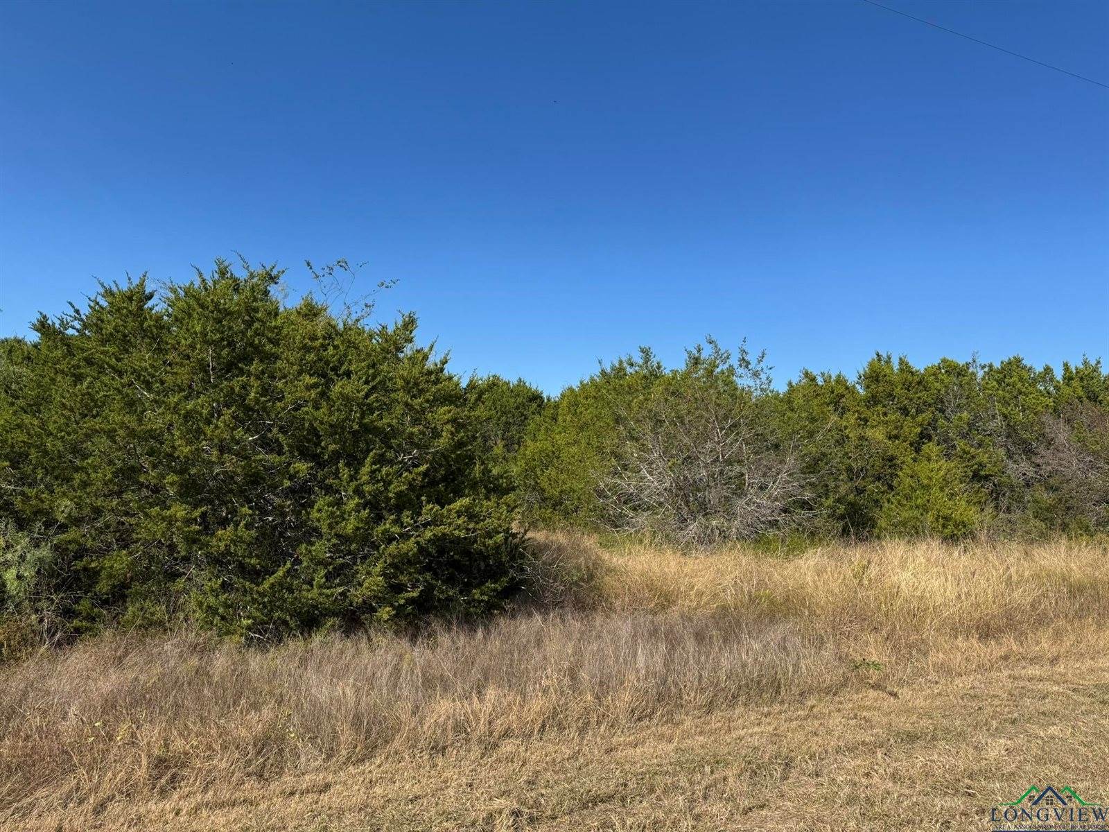 36023 Cedar Ridge Rd, Out Of Area, TX 76692