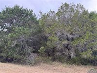 41077 Heartwood Circle, Out Of Area, TX 76692