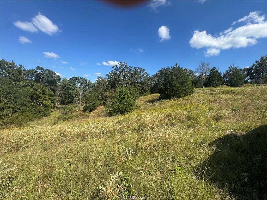 3803 Private Road 4100, Marquez, TX 77865