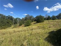 3803 Private Road 4100, Marquez, TX 77865