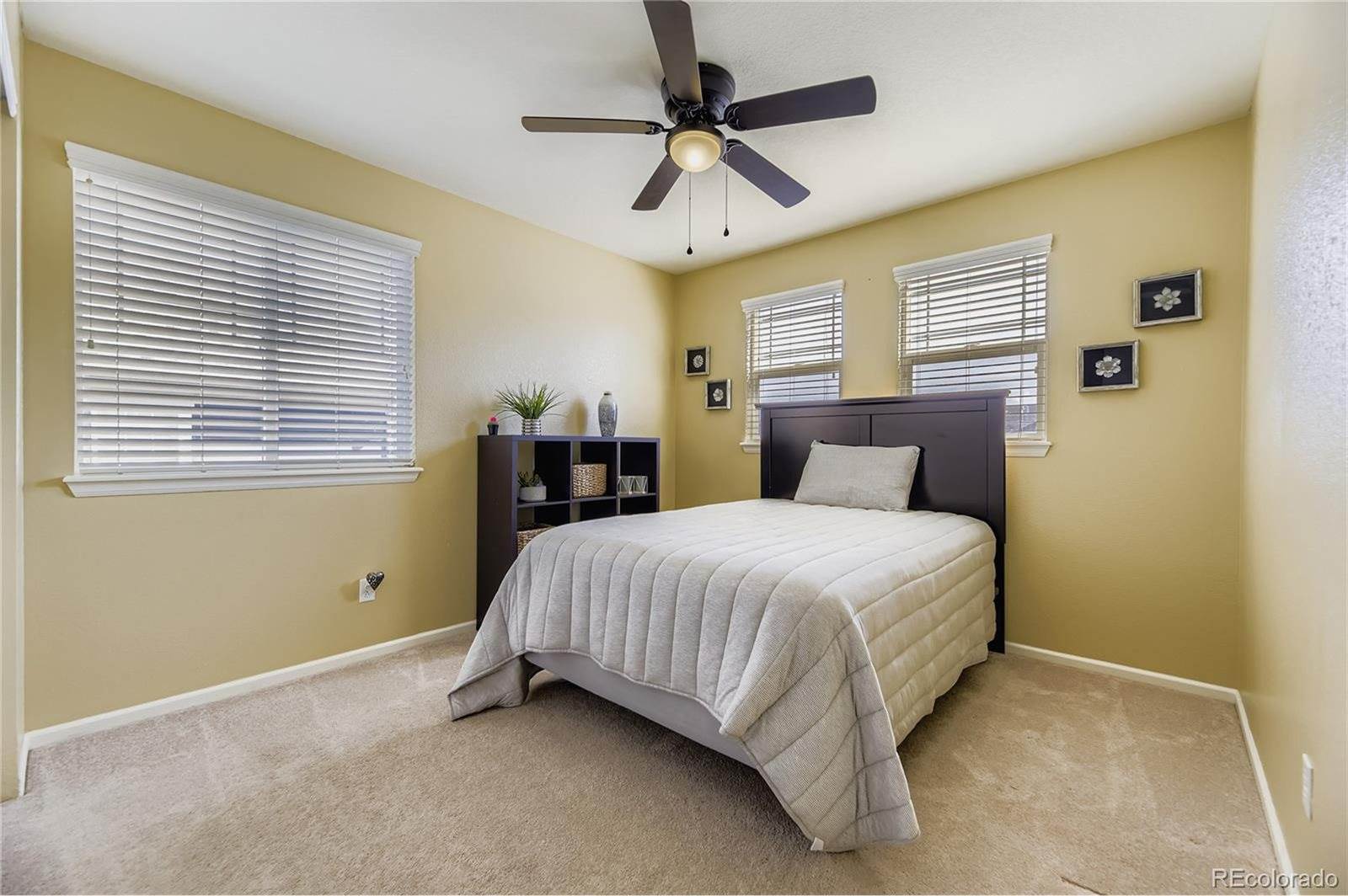 7257 Arco Iris Ln, Castle Pines, CO 80108