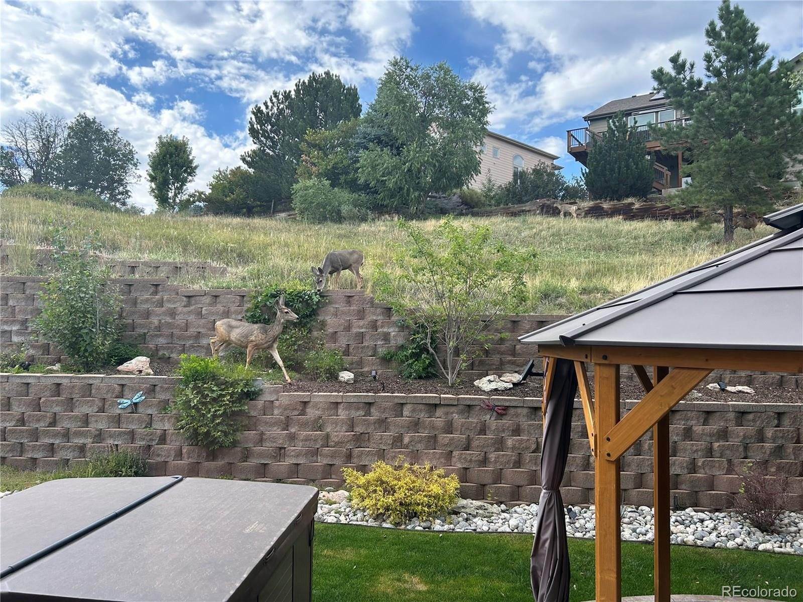 7257 Arco Iris Ln, Castle Pines, CO 80108