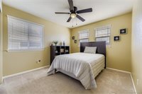 7257 Arco Iris Ln, Castle Pines, CO 80108