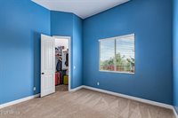 28217 North Finch Trail, San Tan Valley, AZ 85144