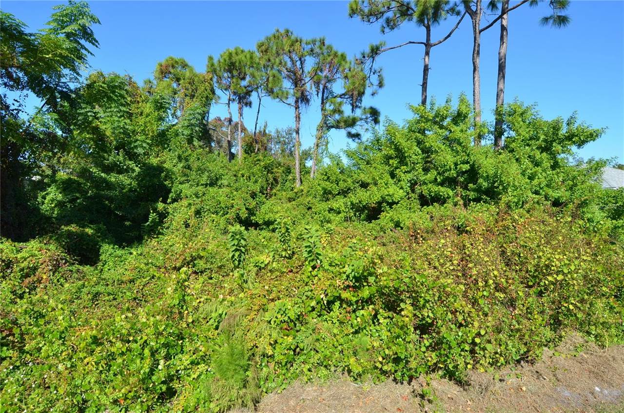 0 Cabana Road, Venice, FL 34293