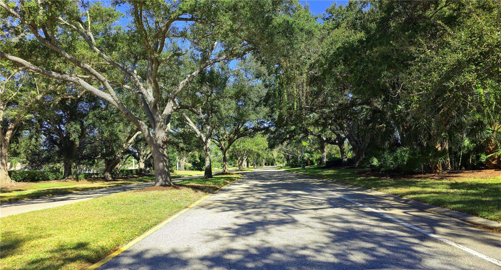 1149 Harbor Town Way, Venice, FL 34292