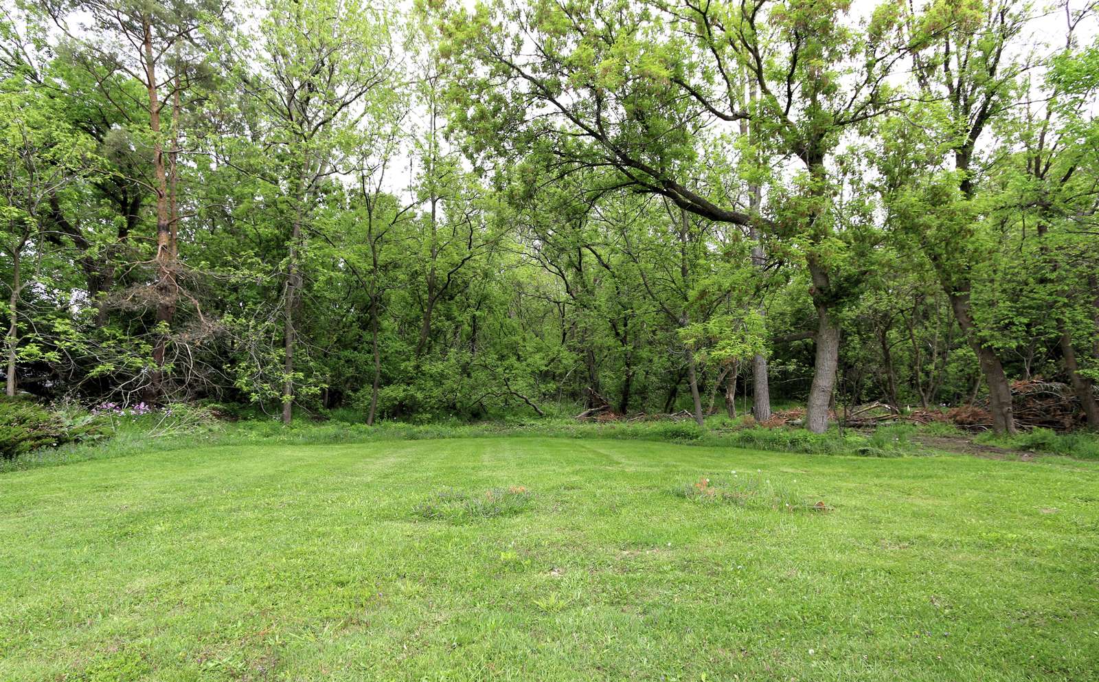 6259 Mercury Ave, Burton, MI 48509