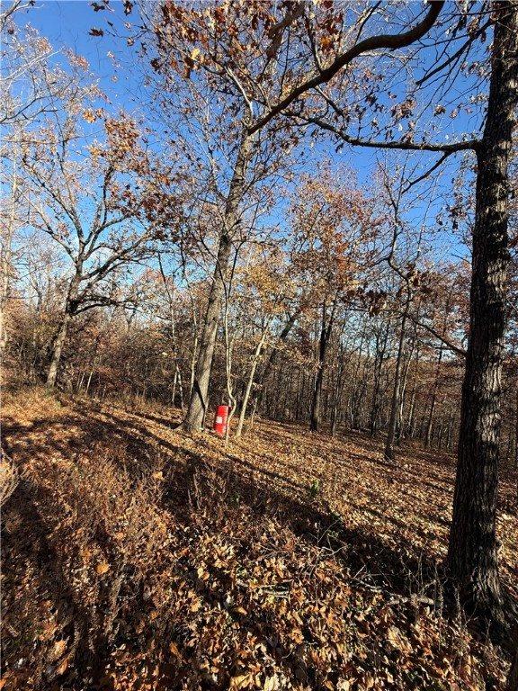 15 Halford Lane, Bella Vista, AR 72715