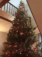 359 Main Street, Owego, NY 13827