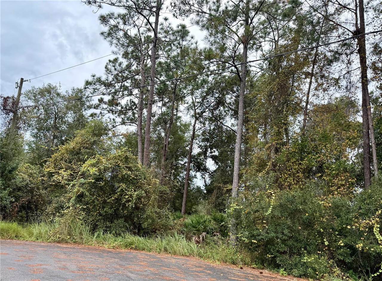 00 Redwood Track Run, Ocala, FL 34472