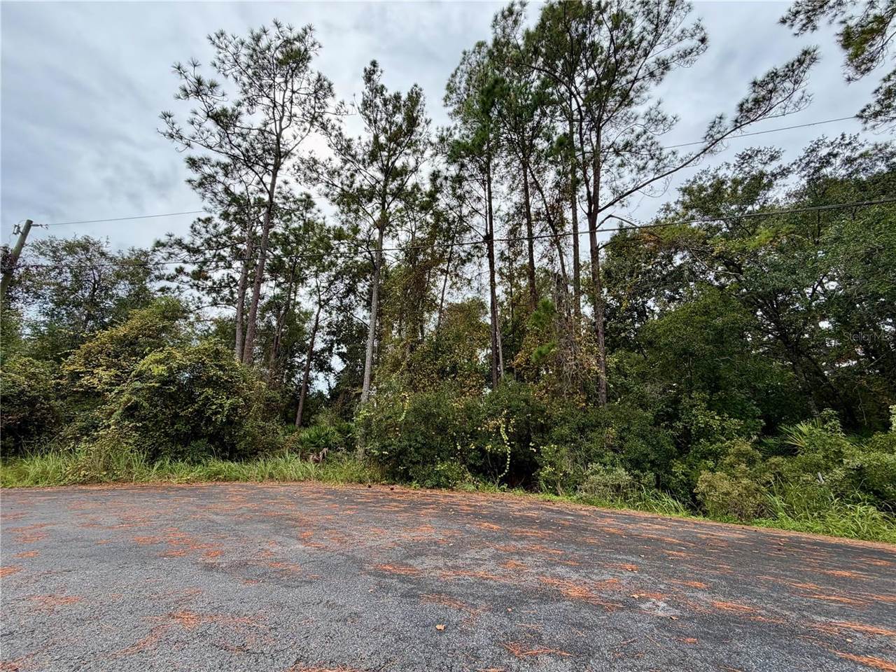 00 Redwood Track Run, Ocala, FL 34472