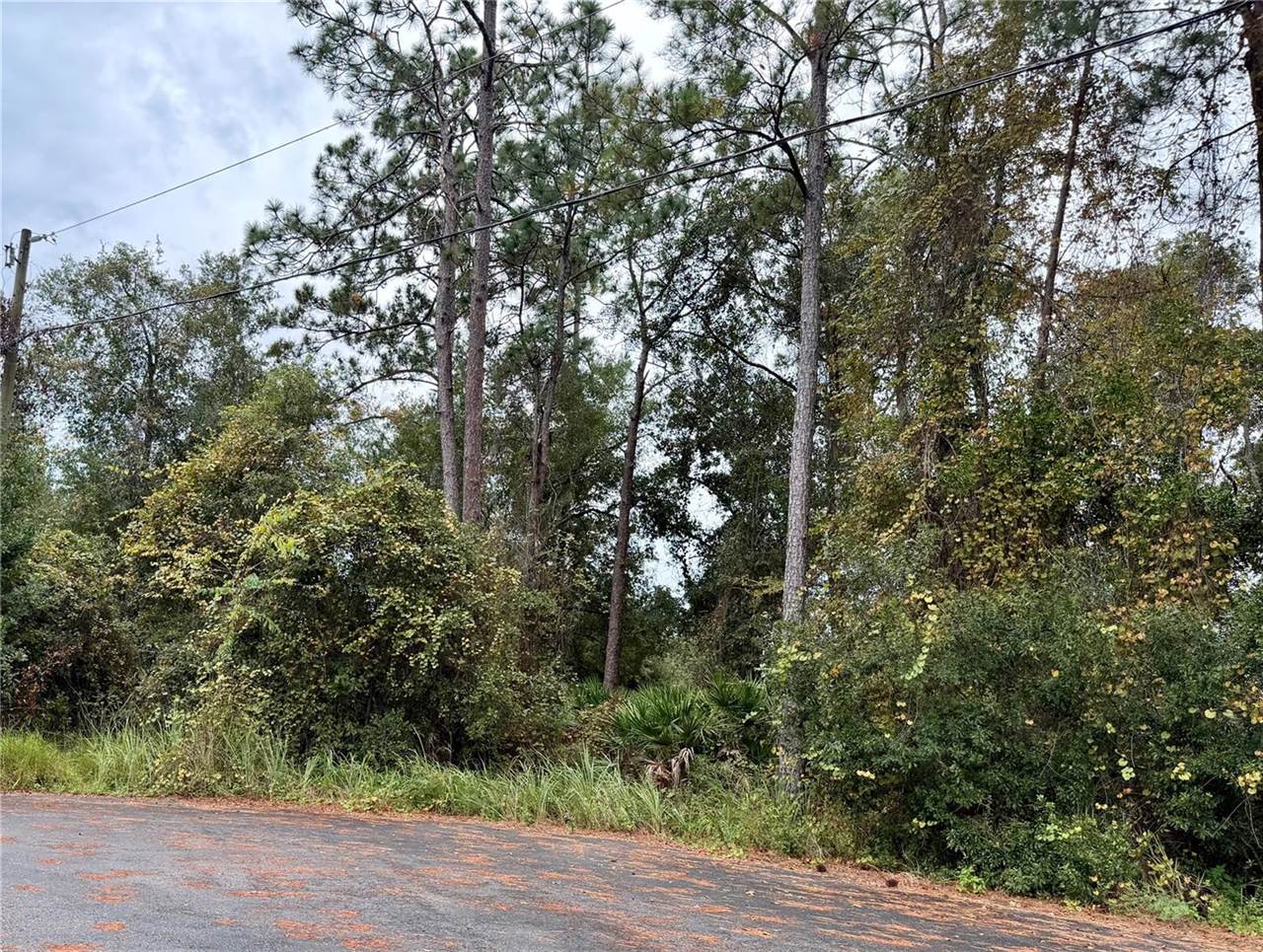 00 Redwood Track Run, Ocala, FL 34472