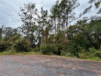 00 Redwood Track Run, Ocala, FL 34472