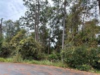 00 Redwood Track Run, Ocala, FL 34472