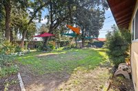 646 South Redwood Drive, Visalia, CA 93277