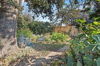 646 South Redwood Drive, Visalia, CA 93277