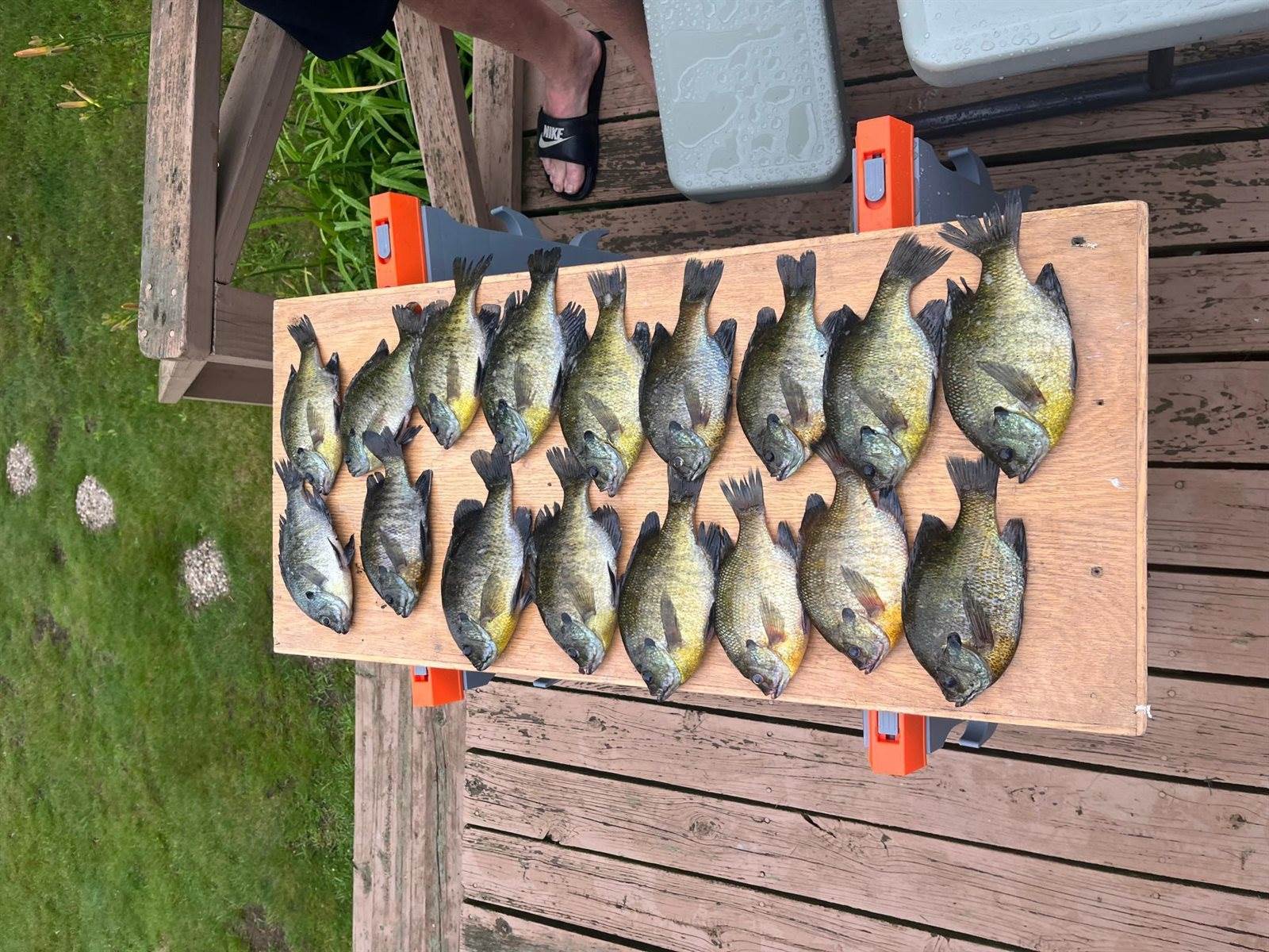 5913 Little Cloquet Road, Cromwell, MN 55726