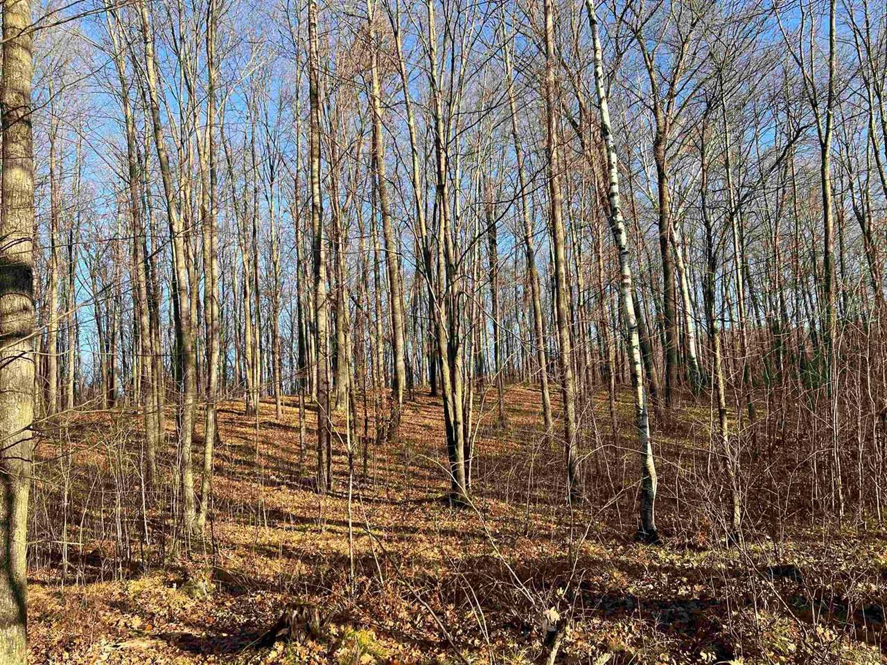 40 acre TRYBA ROAD, Hatley, WI 54440
