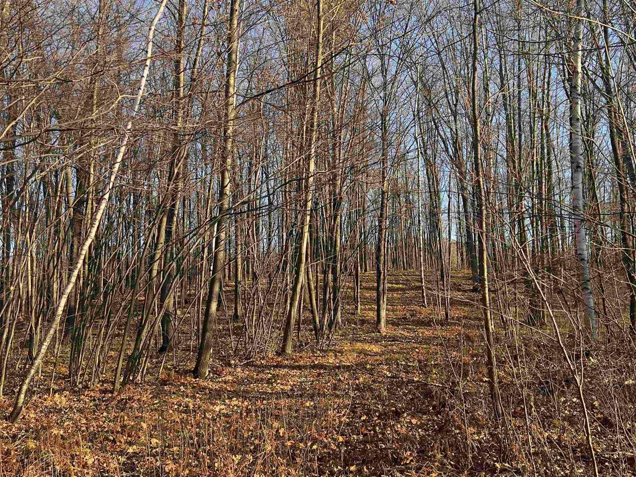 40 acre TRYBA ROAD, Hatley, WI 54440