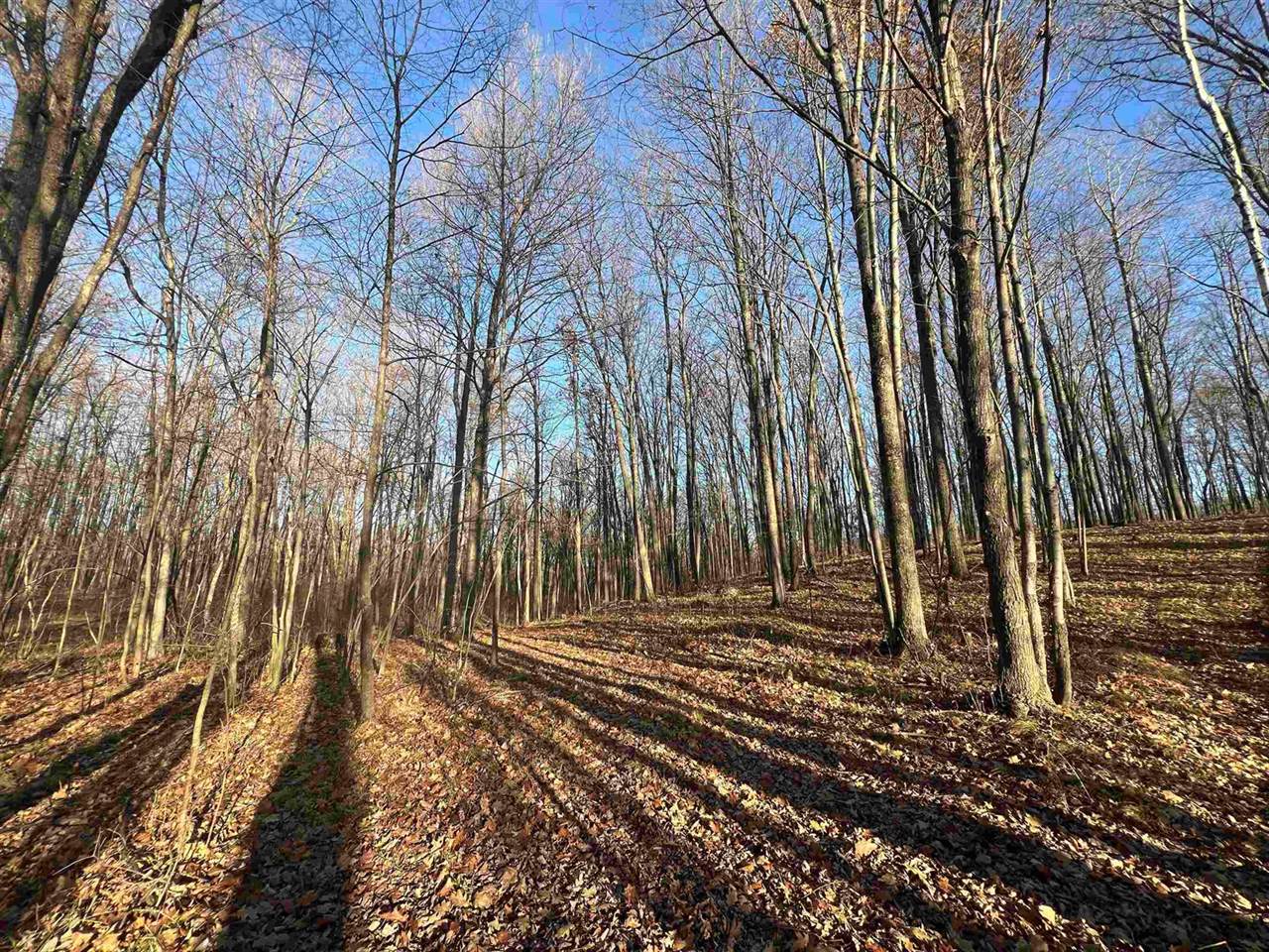 40 acre TRYBA ROAD, Hatley, WI 54440