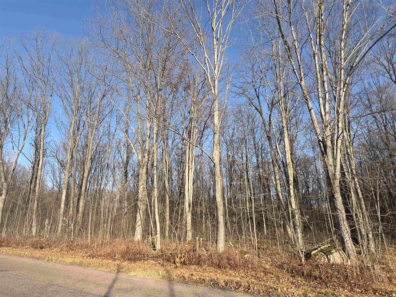 40 acre TRYBA ROAD, Hatley, WI 54440