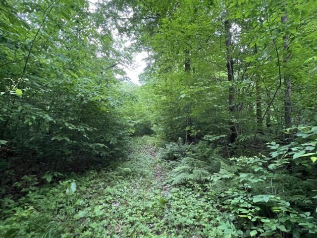 40 acre TRYBA ROAD, Hatley, WI 54440