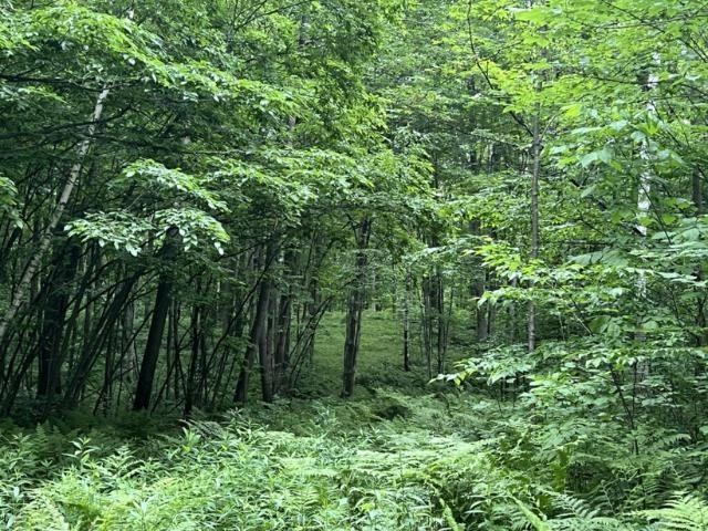 40 acre TRYBA ROAD, Hatley, WI 54440