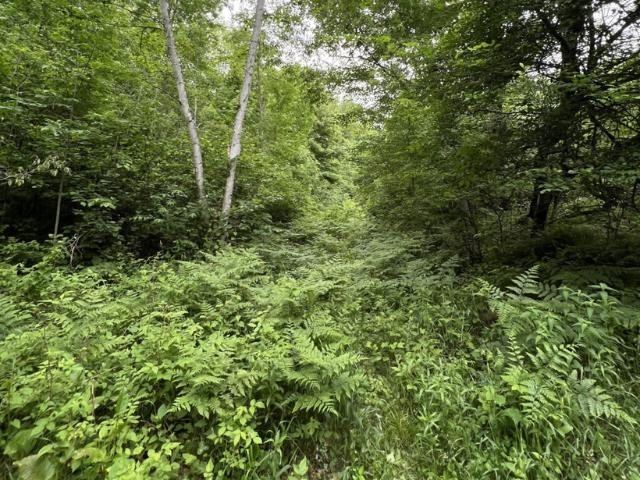 40 acre TRYBA ROAD, Hatley, WI 54440