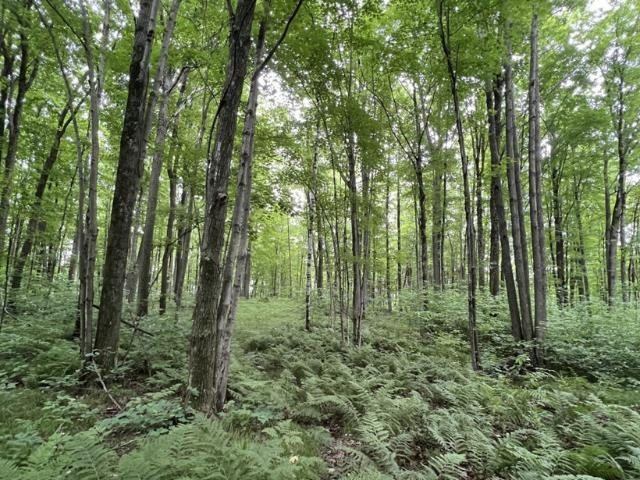 40 acre TRYBA ROAD, Hatley, WI 54440
