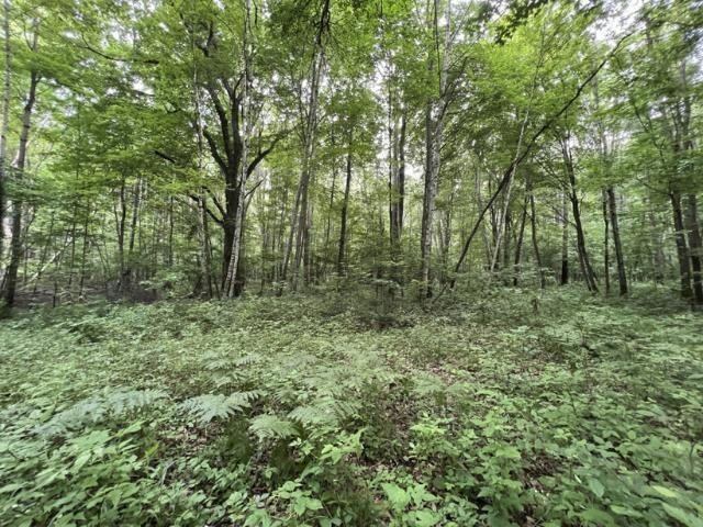 40 acre TRYBA ROAD, Hatley, WI 54440