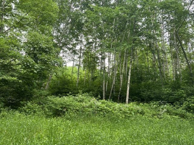 40 acre TRYBA ROAD, Hatley, WI 54440