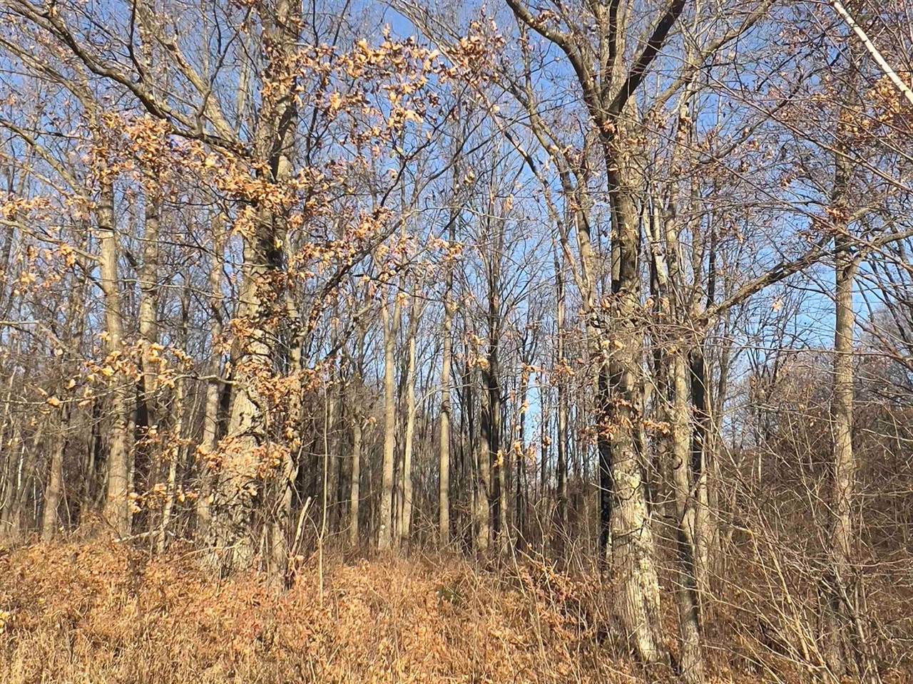 40 acre TRYBA ROAD, Hatley, WI 54440