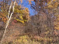 40 acre TRYBA ROAD, Hatley, WI 54440