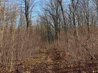 40 acre TRYBA ROAD, Hatley, WI 54440