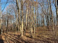 40 acre TRYBA ROAD, Hatley, WI 54440