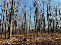 40 acre TRYBA ROAD, Hatley, WI 54440