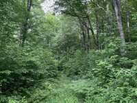 40 acre TRYBA ROAD, Hatley, WI 54440