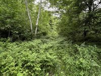 40 acre TRYBA ROAD, Hatley, WI 54440